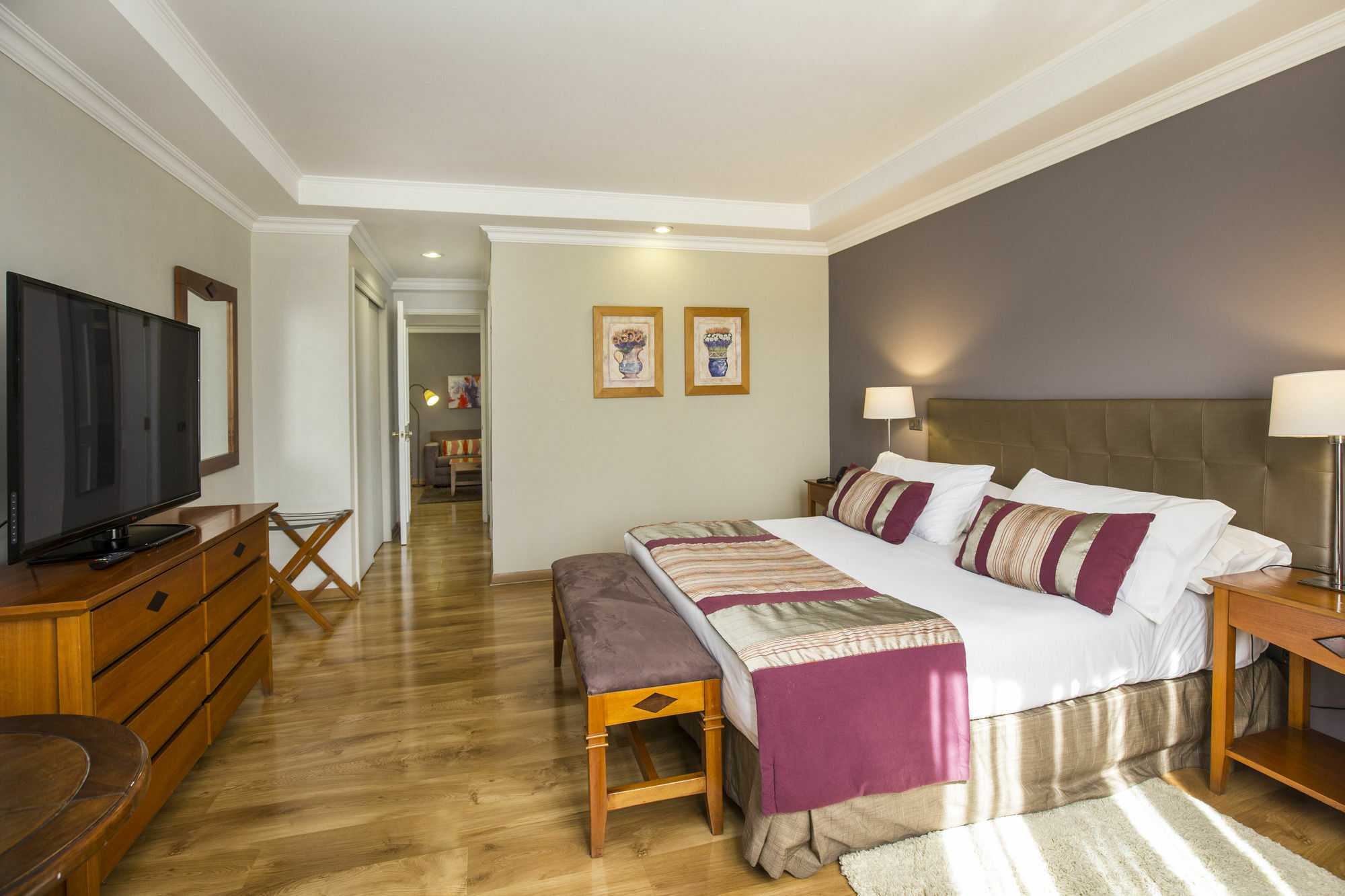 Park Plaza Bonaparte Boutique Otel Santiago Dış mekan fotoğraf